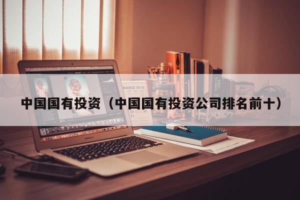 中国国有投资（中国国有投资公司排名前十）