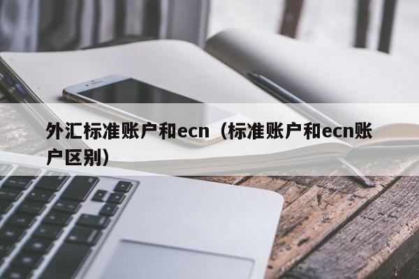 外汇标准账户和ecn（标准账户和ecn账户区别）