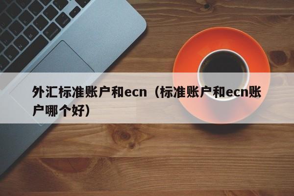 外汇标准账户和ecn（标准账户和ecn账户哪个好）
