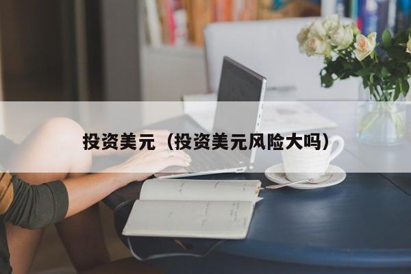投资美元（投资美元风险大吗）