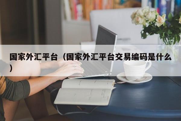 国家外汇平台（国家外汇平台交易编码是什么）