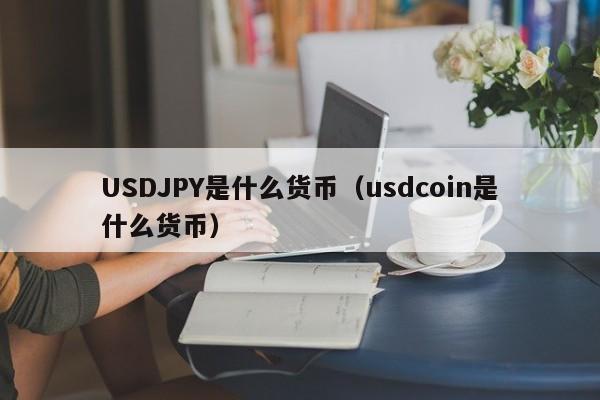 USDJPY是什么货币（usdcoin是什么货币）