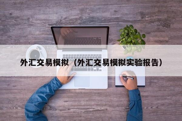 外汇交易模拟（外汇交易模拟实验报告）