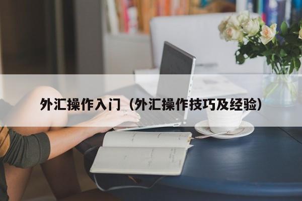 外汇操作入门（外汇操作技巧及经验）