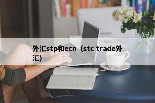 外汇stp和ecn（stc trade外汇）