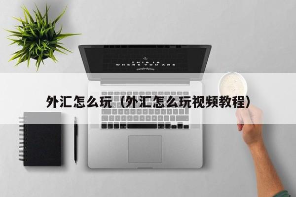 外汇怎么玩（外汇怎么玩视频教程）