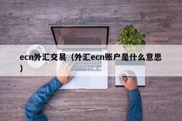 ecn外汇交易（外汇ecn账户是什么意思）