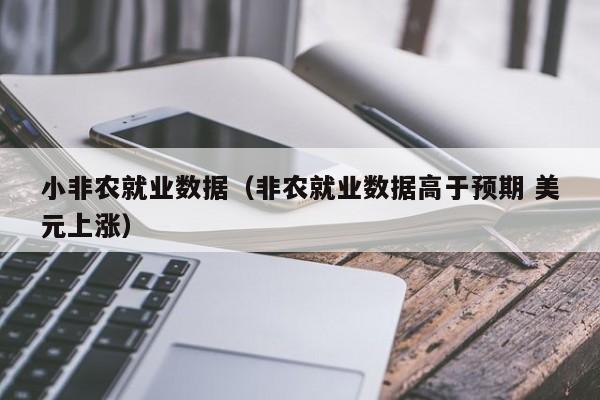 小非农就业数据（非农就业数据高于预期 美元上涨）