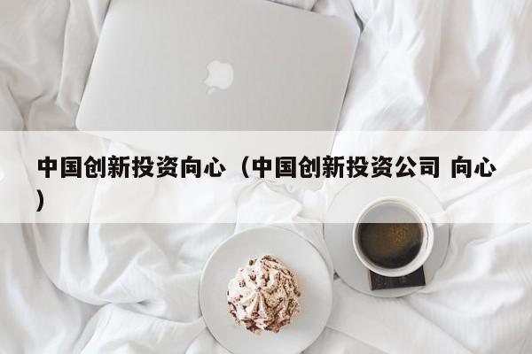 中国创新投资向心（中国创新投资公司 向心）