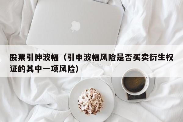 股票引伸波幅（引申波幅风险是否买卖衍生权证的其中一项风险）