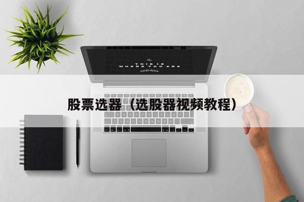 股票选器（选股器视频教程）