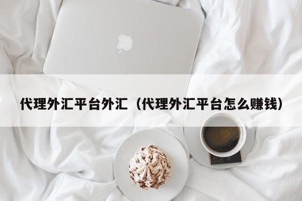 代理外汇平台外汇（代理外汇平台怎么赚钱）