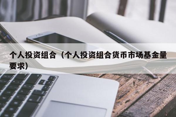 个人投资组合（个人投资组合货币市场基金量要求）