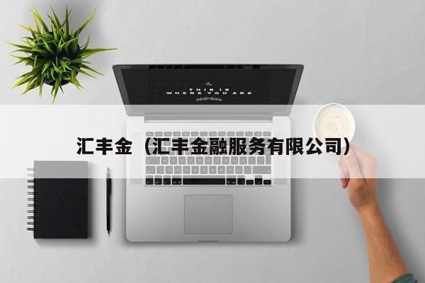 汇丰金（汇丰金融服务有限公司）