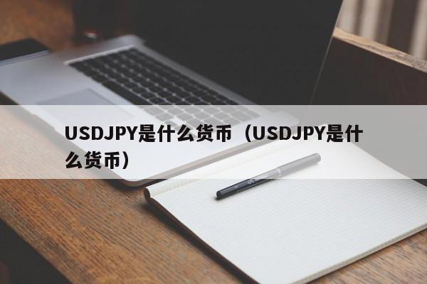 USDJPY是什么货币（USDJPY是什么货币）