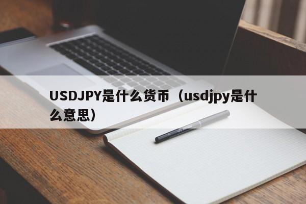 USDJPY是什么货币（usdjpy是什么意思）