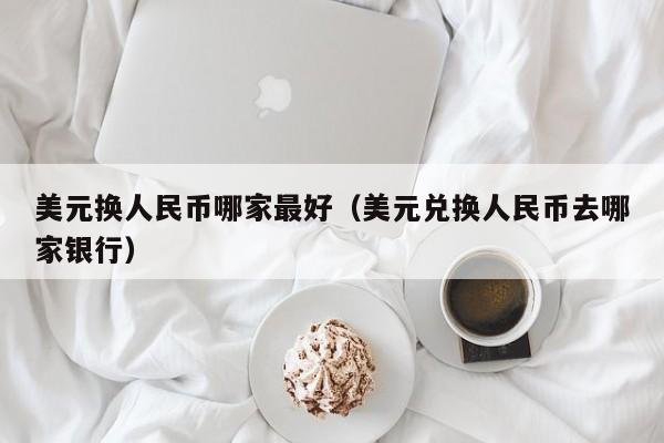 美元换人民币哪家最好（美元兑换人民币去哪家银行）