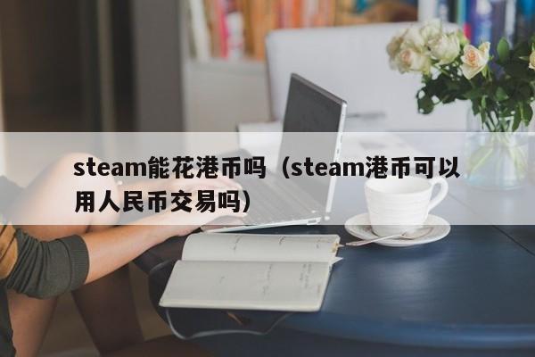 steam能花港币吗（steam港币可以用人民币交易吗）