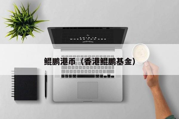 鲲鹏港币（香港鲲鹏基金）