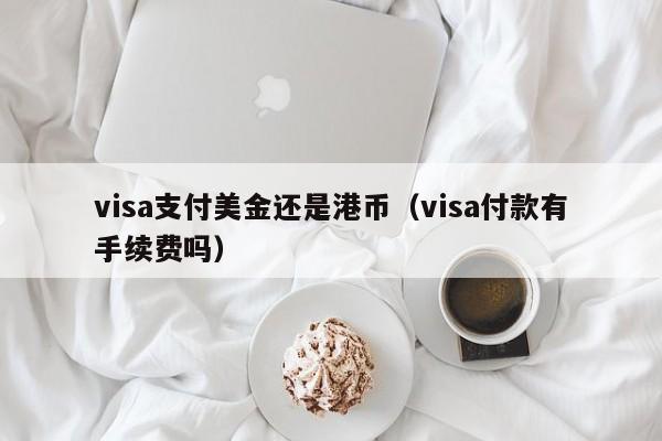 visa支付美金还是港币（visa付款有手续费吗）
