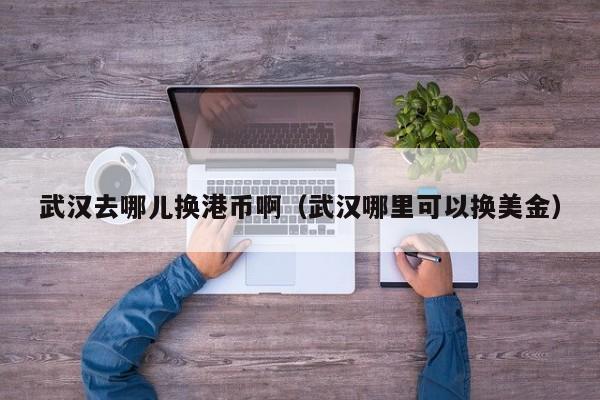 武汉去哪儿换港币啊（武汉哪里可以换美金）