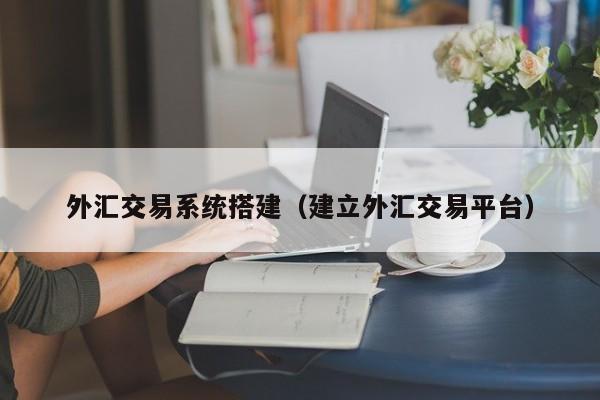 外汇交易系统搭建（建立外汇交易平台）
